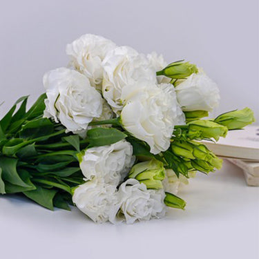 Lisianthus Seeds-Oriental White