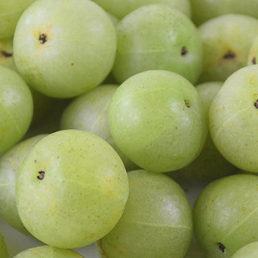Indian Gooseberry