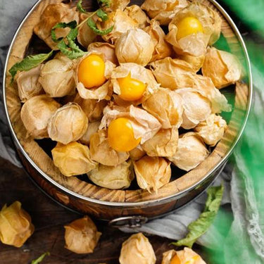 Physalis Peruviana Fruit – Lantern Fruit Seeds