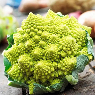 Romanesco Broccoli