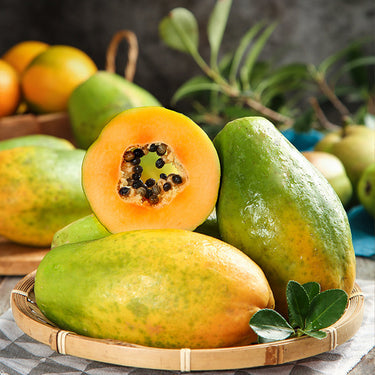 Red Lady Papaya