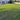 General Lawn Grass Seeds - lawn grass reference image 2