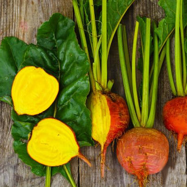 Gold Beetroot Seeds