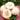 Bai Mibao Taiwan Melon Seeds – White Thin-Wall Muskmelon