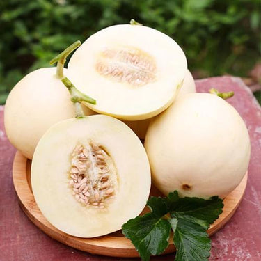 Bai Mibao Taiwan Melon Seeds – White Thin-Wall Muskmelon