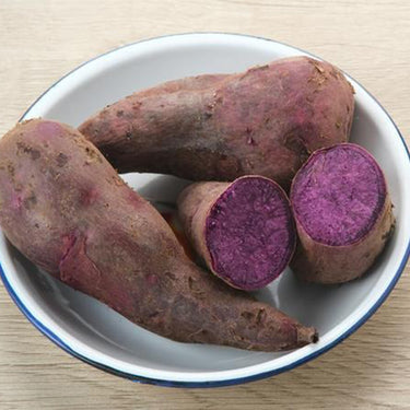 Sweet Potato Ipomoea batatas 'Violet'