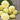 Marigold Seeds – Moonlight