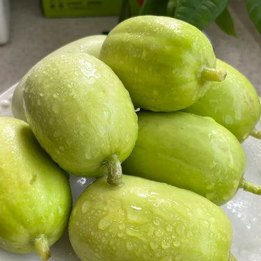 finger cucumber Seeds