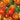 Linnaeus Burning Embers Marigold Seeds