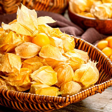 Physalis Peruviana Fruit – Lantern Fruit Seeds