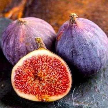 Fig, Violette de Bordeaux