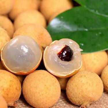 Rare Dwarf Longan Sri Chompoo aka Dragon Eye Exotic Fruit Seeds