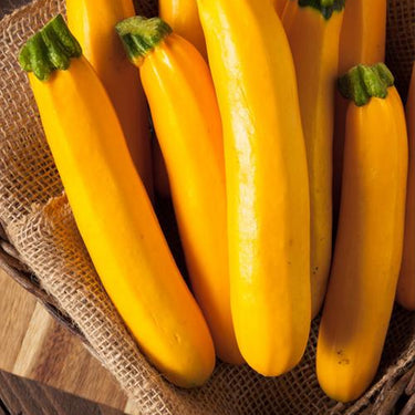 Golden Zucchini Seeds
