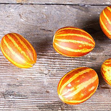 Rich Sweetness Melon – Unique Striped Melon Variety