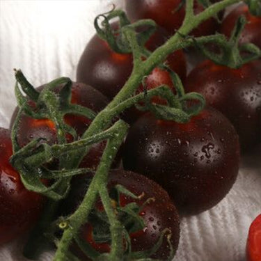 Coffee Tomato Seeds