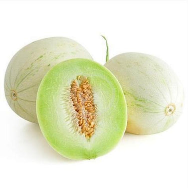 Melon, Bodacious Hybrid