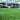 Low view of a dense Zoysia lawn in front of a house