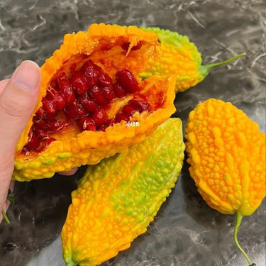 Lai Grape Seeds for Garden – Bitter Gourd Seeds