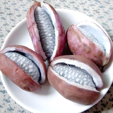 August Melon
