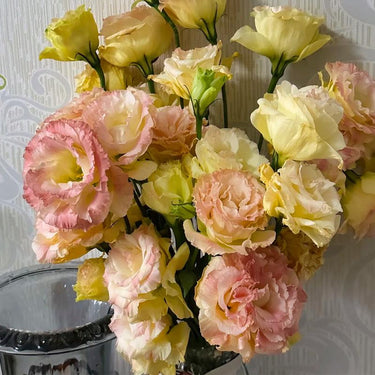 Lisianthus Seeds-Mint Ice Cream