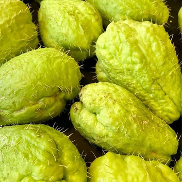Chayote Seeds