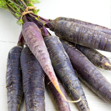 Purple Carrot