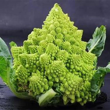 Romanesco Broccoli