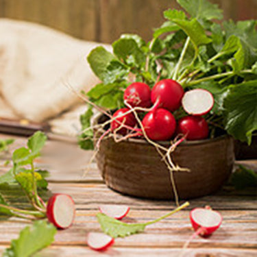 Cherry Radish