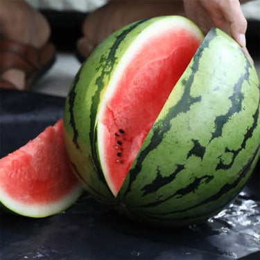 Watermelon, Mini-Me Hybrid