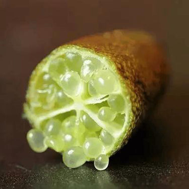 Finger Lime