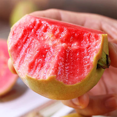 Guava Fruit Tree Seeds for Planting - Exotic and Delicious Tropical Fruit