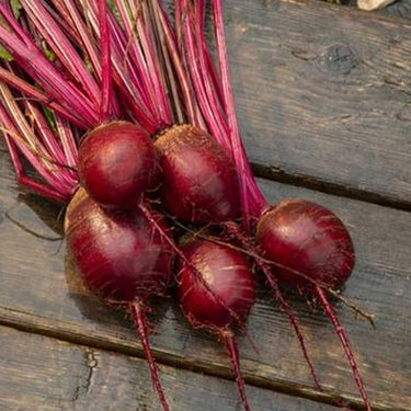 Red Beetroot Seeds