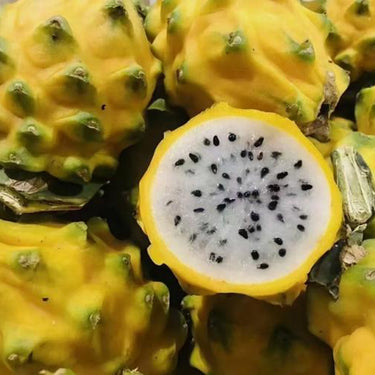 Yellow Dragon Fruit Seed – Rare Color Pitaya Fruit Sweet Juicy Fruits