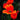 Red California Poppy Seeds