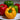 High Yield Sweet Bell Pepper Seeds