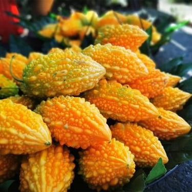 Lai Grape Seeds for Garden – Bitter Gourd Seeds