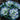 Painted Begonia Seeds – Aqua Frost