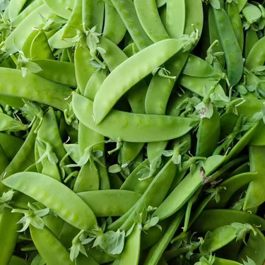 Fresh Peas Vegetable Seeds