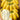 Apple Banana Seeds - banana fruit reference image