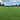 Bermuda Grass Seeds