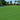Bermuda Grass Seeds