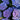 Blue-Purple Hydrangea Seeds