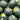 Blue Hubbard Winter Squash Garden Seeds