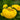 Calceolaria Seeds Yellow Pure