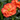 Carnation Seeds – Orange Light Ode
