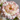 Carnation Seeds – Pink White Soft Velvet