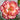 Carnation Seeds – Fruit Gummy