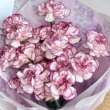 Carnation Seeds-Purple Smoke