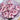 Carnation Seeds-Purple Smoke