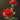 Carnation Seeds – Red Crystal Shine